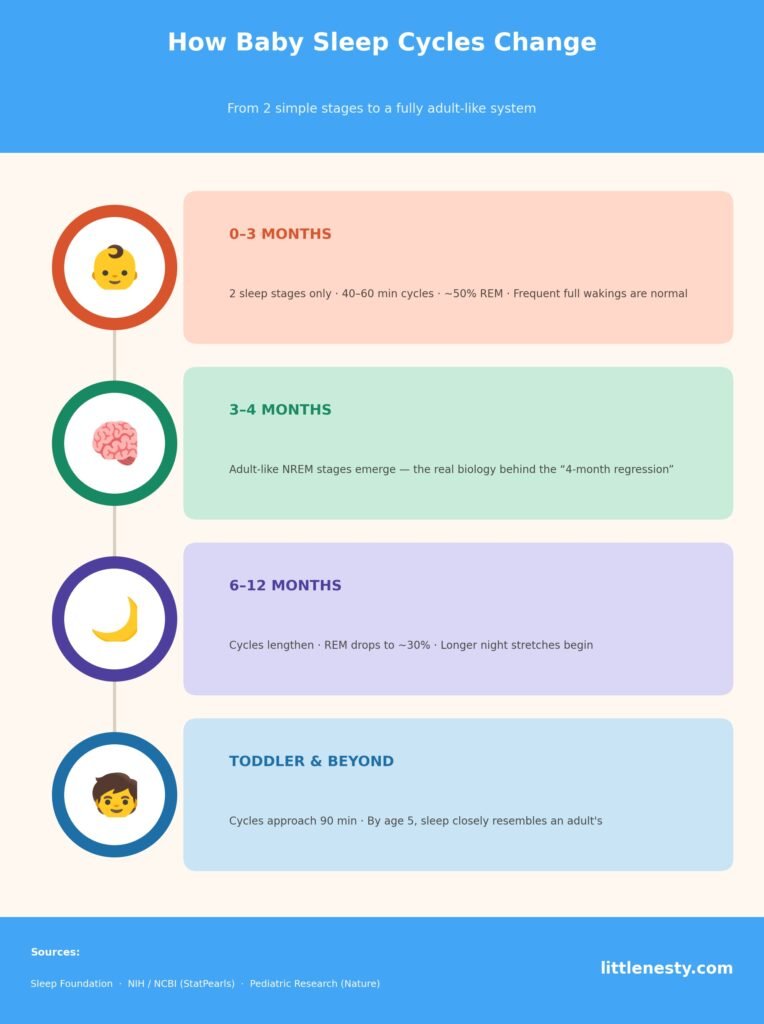 baby-sleep-cycles-timeline-chart