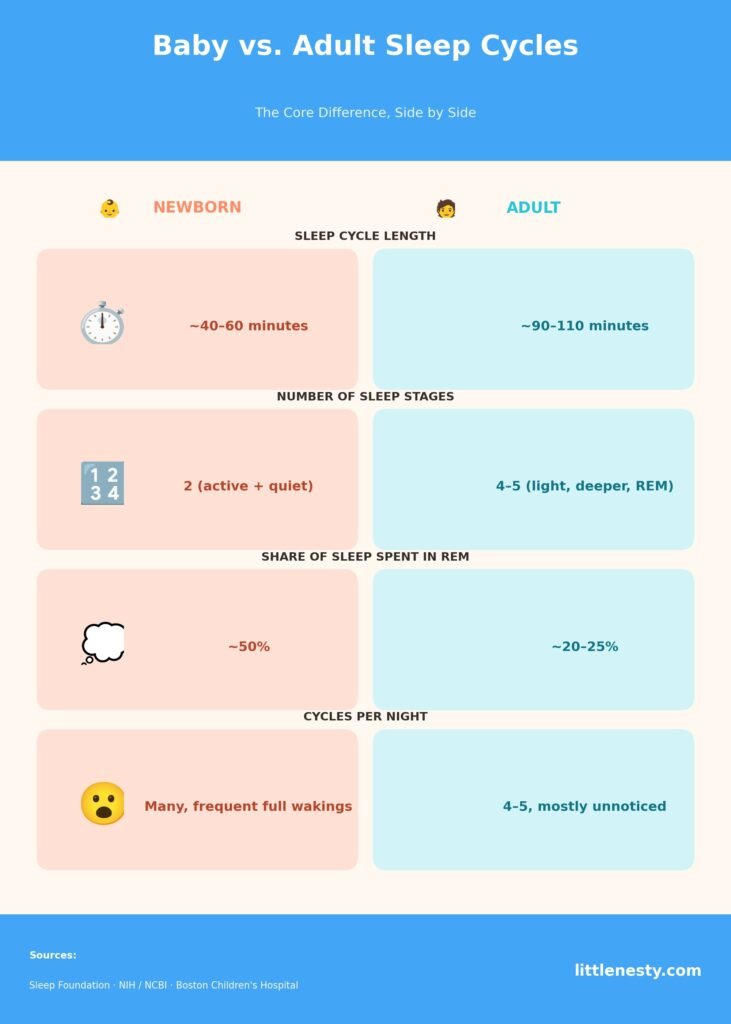 baby-vs-adult-sleep-cycles-chart